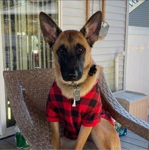 Meet your Posher, Jackie